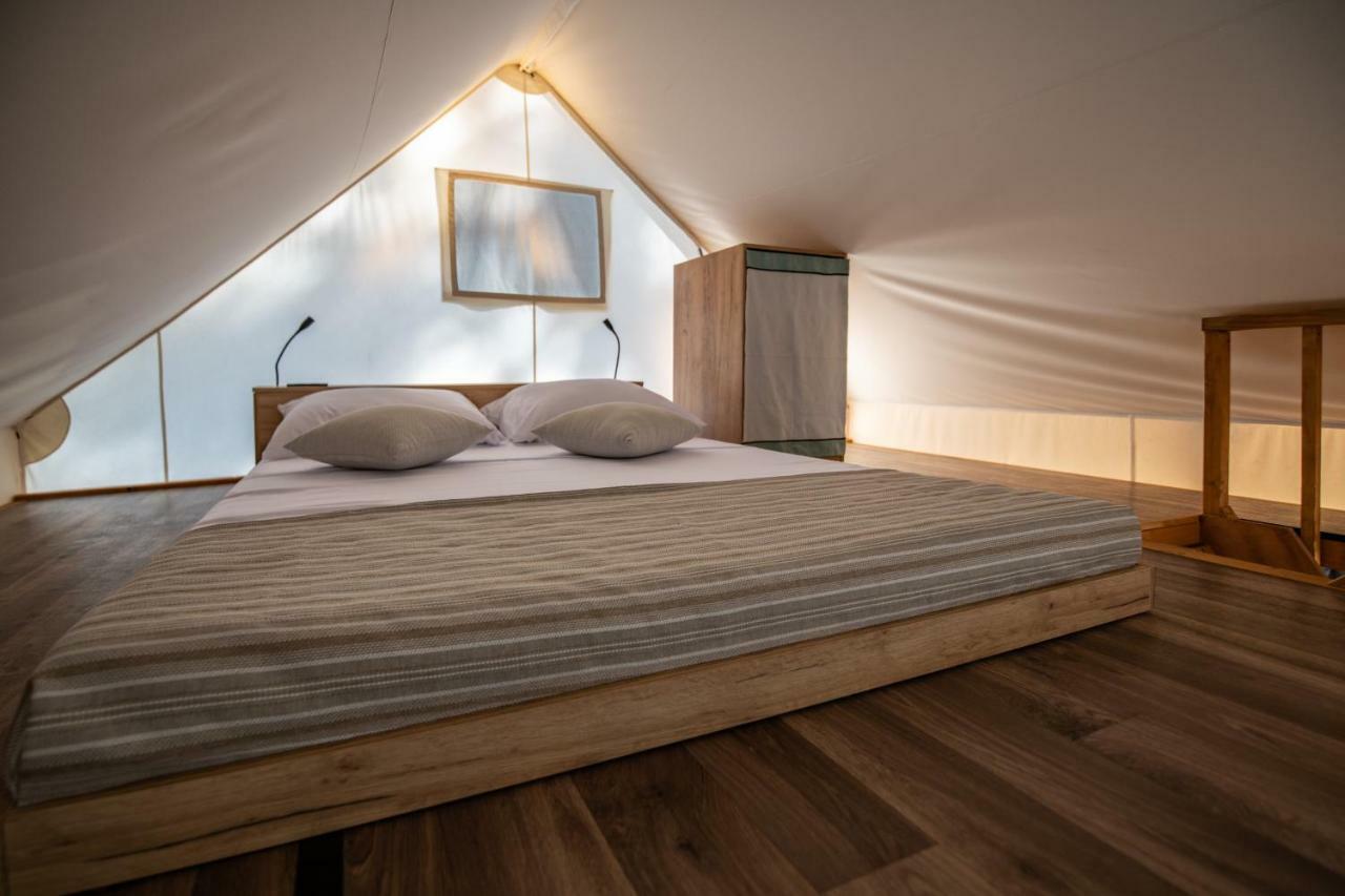 Arena Stoja Homes